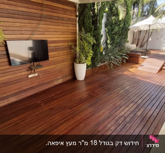 דק עץ עם צמחים ועציצים גדולים